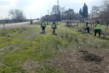 Şəmkirdə genişmiqyaslı daxili iməclik təşkil olunub