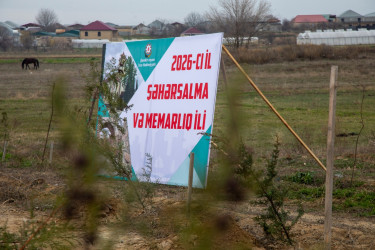 Şəmkirdə “Şəhərsalma və Memarlıq İli” çərçivəsində ağacəkmə aksiyası keçirilib