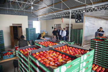 Şəmkir Rayon İcra Hakimiyyətinin başçısı istilikxana və meyvə bağlarında görülən işlərlə yerində tanış olub