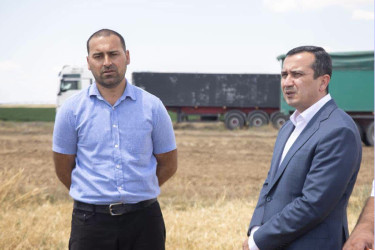 Şəmkirdə biçin aparılan taxıl sahələrinə baxış keçirilib