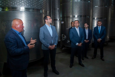 Nazir Məcnun Məmmədov və Şəmkir RİH başçısı Rəşad Tağıyev şərab istehsalı müəssisəsinin fəaliyyəti ilə tanış olublar