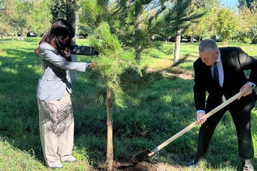 Anım Günü münasibətilə Şəhidlər Xiyabanında təmizlik və abadlıq işləri aparıldı, rayon ərazisində ağacəkmə aksiyaları təşkil olundu