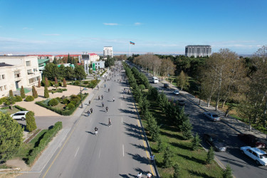 Şəmkirdə rayon İcra Hakimiyyətinin təşkilatçılığı ilə 8 Noyabr - Zəfər Gününə həsr olunmuş "Zəfər Marafonu" keçirilib