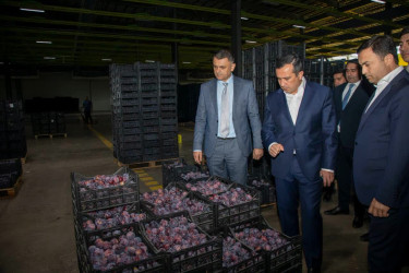 Şəmkirdə Dövlət Proqramı üzrə görülən işlər müzakirə olunub, təsərrüfatlara baxış keçirilib