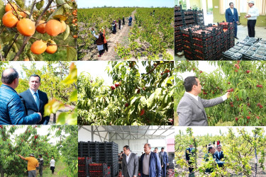 İnkişafın davamlılığı: rayon üzrə icra olunan işlərə ümumi baxış