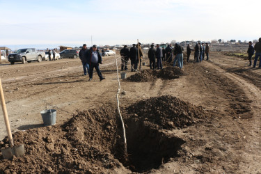 Yeniabad-Xuluf yolu təmir olundu, şəhidlərin xatirəsinə ağaclar əkildi.