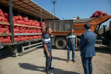 Şəmkirdə fermerlərlə görüşlər davam edir, onlar Dövlət Proqramının imkanları barədə məlumatlandırılır.