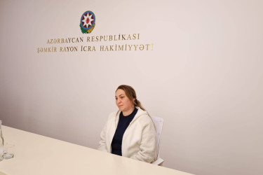 Şəmkir RİH-də növbəti fərdi qəbul keçirildi