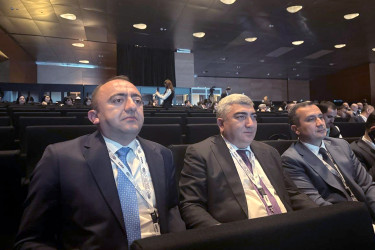 Şəmkir Rayon İcra Hakimiyyətinin başçısı Rəşad Tağıyev WUF13-də iştirak edir