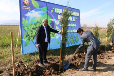 Şəmkirdə “Yaşıl dünya naminə həmrəylik ili” çərçivəsində keçirilən aksiyada 15200 ağac əkildi