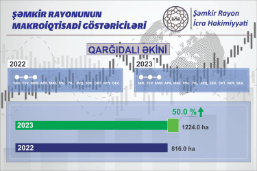 Şəmkir rayonunda 2022-ci ilin 1-ci rübü ilə müqayisədə 2023-cü ilin eyni dövründə qarğıdalı əkini 50 faiz artaraq 1224 hektara çatmışdır.