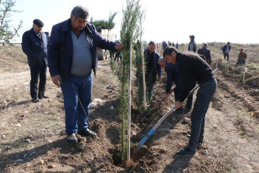 Şəmkirdə “Yaşıl dünya naminə həmrəylik ili” çərçivəsində keçirilən aksiyada 15200 ağac əkildi