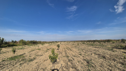 Şəmkirdə su ehtiyatlarından səmərəli istifadəyə dair tədbirlər davam etdirilir