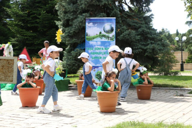 Şəmkirdə “Yaşıl dünya naminə həmrəylik ili” çərçivəsində sərgi təşkil olundu