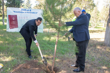Anım Günü münasibətilə Şəhidlər Xiyabanında təmizlik və abadlıq işləri aparıldı, rayon ərazisində ağacəkmə aksiyaları təşkil olundu