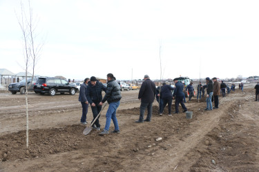 Yeniabad-Xuluf yolu təmir olundu, şəhidlərin xatirəsinə ağaclar əkildi.