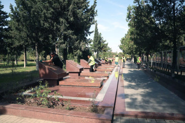 Şəmkirdə xatirə komplekslərində, xiyabanlarda və qəbiristanlıqlarda iməcilik keçirildi, abadlıq işləri görüldü