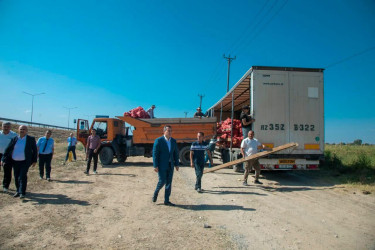 Şəmkirdə fermerlərlə görüşlər davam edir, onlar Dövlət Proqramının imkanları barədə məlumatlandırılır.