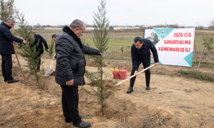 Şəmkirdə “Şəhərsalma və Memarlıq İli” çərçivəsində ağacəkmə aksiyası keçirilib