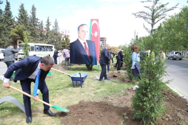 Şəmkirdə Ulu Öndər Heydər Əliyevin doğum gününə həsr olunmuş ağacəkmə aksiyası keçirildi