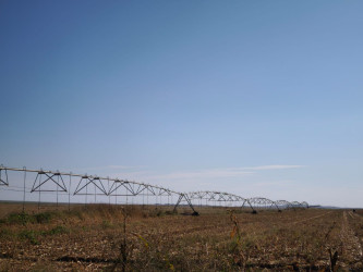 Şəmkirdə su ehtiyatlarından səmərəli istifadəyə dair tədbirlər davam etdirilir