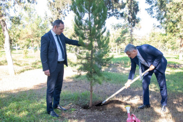 Anım Günü münasibətilə Şəhidlər Xiyabanında təmizlik və abadlıq işləri aparıldı, rayon ərazisində ağacəkmə aksiyaları təşkil olundu