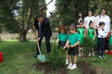 Şəmkirdə “Yaşıl dünya naminə həmrəylik ili” çərçivəsində sərgi təşkil olundu