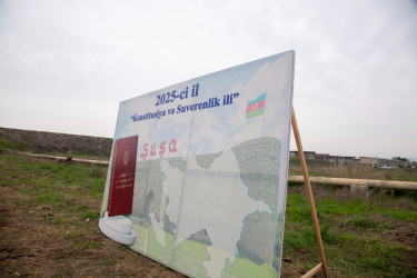 Şəmkir dairəsinin sağ istiqamətinə 150 ədəd ağac əkildi