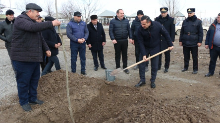 Yeniabad-Xuluf yolu təmir olundu, şəhidlərin xatirəsinə ağaclar əkildi.