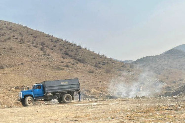 Şəmkirdə genişmiqyaslı daxili iməclik təşkil olunub