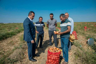 Şəmkirdə fermerlərlə görüşlər davam edir, onlar Dövlət Proqramının imkanları barədə məlumatlandırılır.