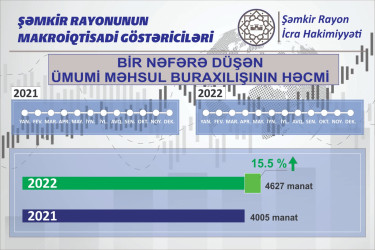 Şəmkir iqtisadiyyatı - 2022 - ci ilin yekunları.