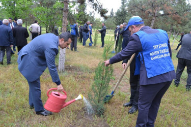 Şəmkirdə Ulu Öndər Heydər Əliyevin 101-ci illik yubileyinə həsr olunmuş ağacəkmə aksiyası keçirilib