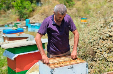 İcra başçısı bu dəfə arıçılıq təsərrüfatına baş çəkib.