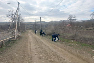 Şəmkirdə genişmiqyaslı daxili iməclik təşkil olunub