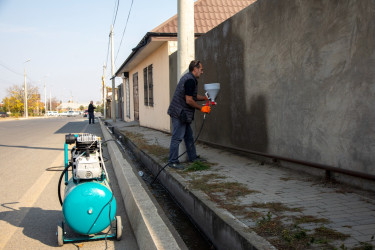 Şəmkir şəhərində abadlıq işləri davam etdirilir