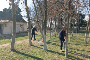 Şəmkirdə genişmiqyaslı daxili iməclik təşkil olunub