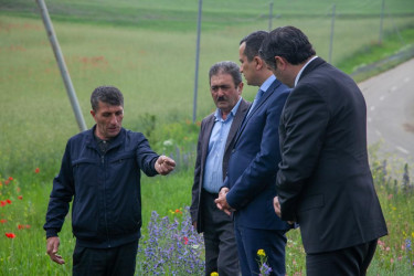 Rəşad Tağıyev Dağ Cəyir kəndində dəmyə şəraitində yetişdirilən taxıl sahələrinə baxış keçirib.