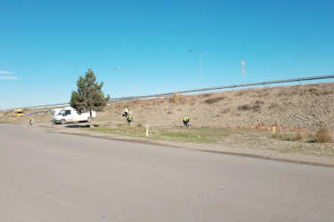 Şəmkirdə genişmiqyaslı daxili iməclik təşkil olunub