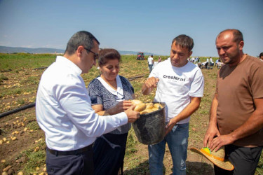 İcra başçısı kartof yığımı aparılan sahələrdə fermerlərlə görüşüb