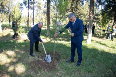 Anım Günü münasibətilə Şəhidlər Xiyabanında təmizlik və abadlıq işləri aparıldı, rayon ərazisində ağacəkmə aksiyaları təşkil olundu