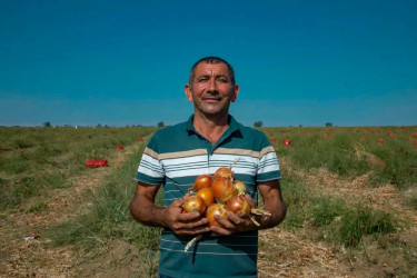 Şəmkirdə fermerlərlə görüşlər davam edir, onlar Dövlət Proqramının imkanları barədə məlumatlandırılır.