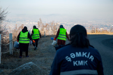 Şəmkirdə növbəti genişmiqyaslı ümumrayon iməcliyi keçirilib