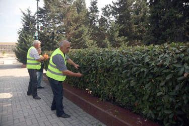 Şəmkirdə xatirə komplekslərində, xiyabanlarda və qəbiristanlıqlarda iməcilik keçirildi, abadlıq işləri görüldü