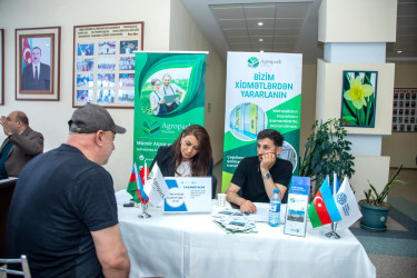 Şəmkirdə əmək yarmarkası keçirilib