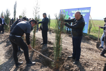 Şəmkirdə “Yaşıl dünya naminə həmrəylik ili” çərçivəsində keçirilən aksiyada 15200 ağac əkildi