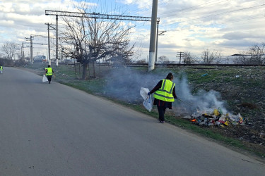 Şəmkirdə genişmiqyaslı daxili iməclik təşkil olunub