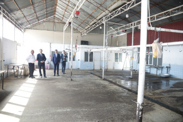 Şəmkirdə heyvan kəsimi məntəqələrinə baxış keçirilib