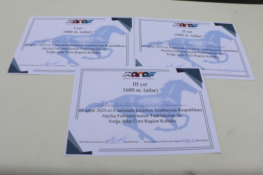Şəmkirdə Azərbaycan Yorğa atları üzrə Region Kuboku keçirilib