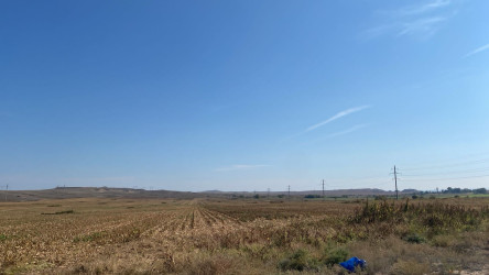 Şəmkirdə su ehtiyatlarından səmərəli istifadəyə dair tədbirlər davam etdirilir